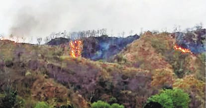  fire at shivalik hills