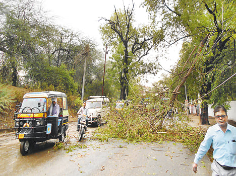 Weather from Jhajjam rainy season, people take relief