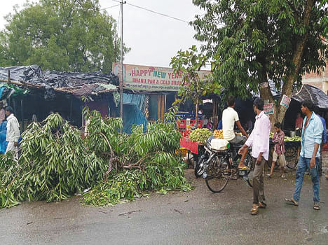 Trees fell by storm, broken lines