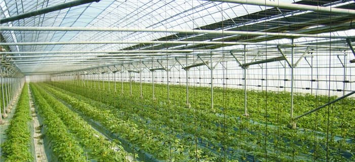 Green house gas emissions are increasing due to farming in the country