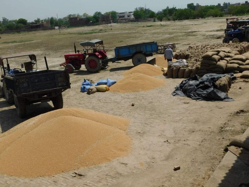 Wheat procurement on minimum support price till June 15