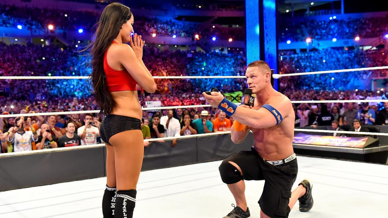 John Cena Girlfriend WWE Diva Nikki Bella decides to retire from the ring