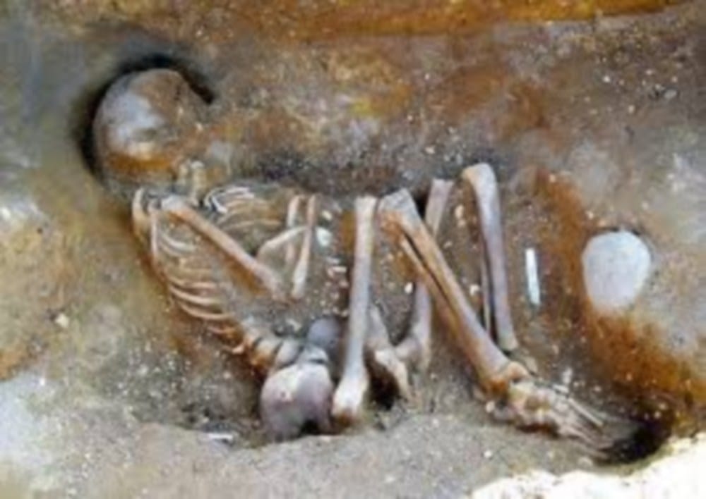 sdrf team found seven human skeleton in kedarnath