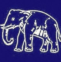 BSP District President Yogendra Jatav removed 