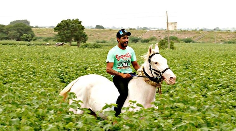 Indian Cricket Sir Ravindra Jadeja Meets his Horse in His Farmhouse