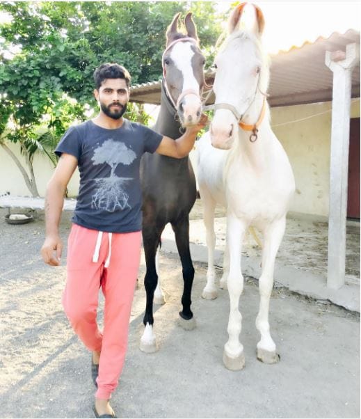 Indian Cricket Sir Ravindra Jadeja Meets his Horse in His Farmhouse
