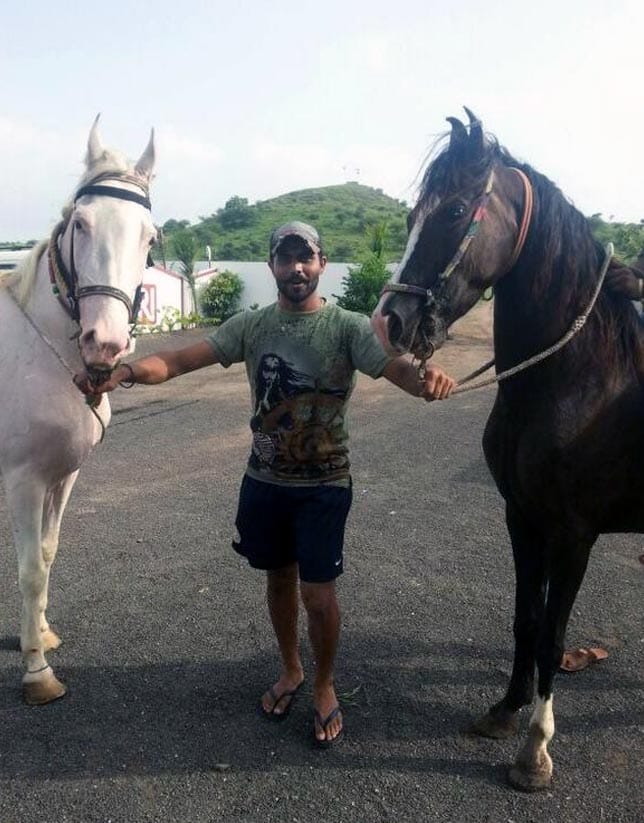 Indian Cricket Sir Ravindra Jadeja Meets his Horse in His Farmhouse