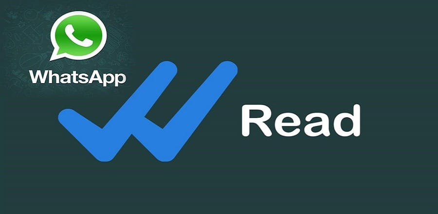 Rohini court accepts WhatsApp blue double-tick as receipt proof