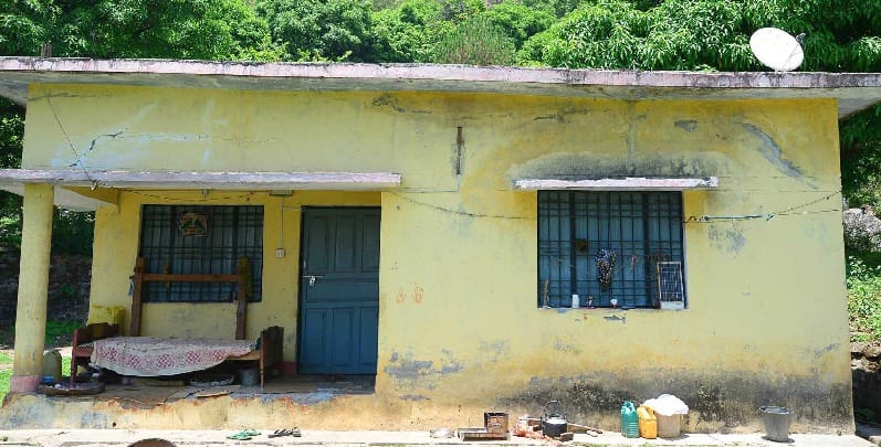 Lakhs of open animal services not opened for six months