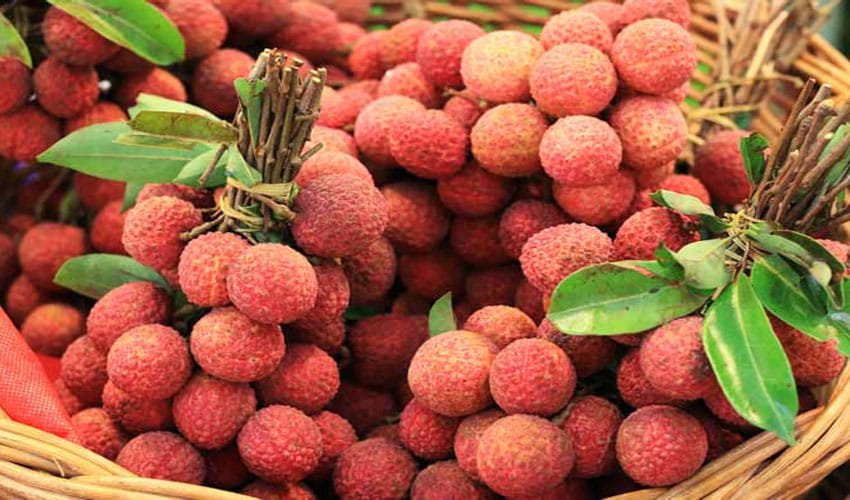  The red and rosy litchi in the market will be surprised to know these five advantages.