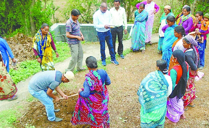 Paddy, Mudva seeds will be prepared on five hundred nali land