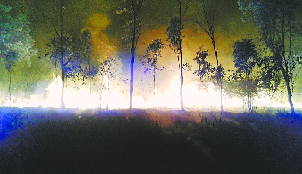 fire in the garden