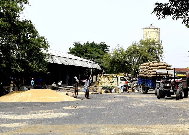 Badaun can not get 30 per cent wheat procurement