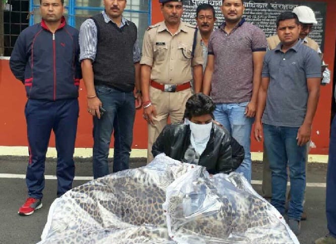 Forensic examination of caught skins will be done