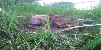 The victim of reindeer in Meerut, viral photos on social media
