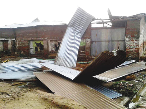 Death toll due to typhoon, three deaths