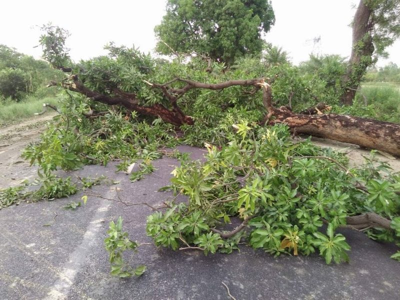kaal banakar mahila par giree bijalee, maut