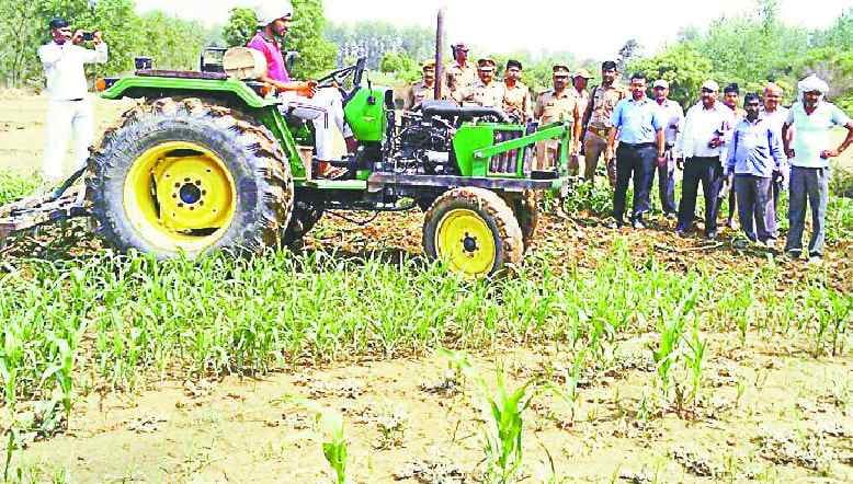 32 Bigha grazed land free of occupation