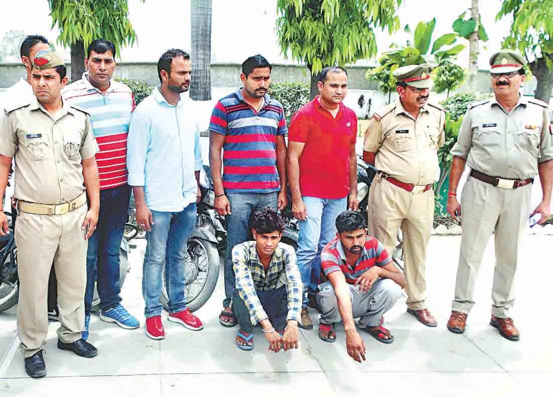 bike thief arrest