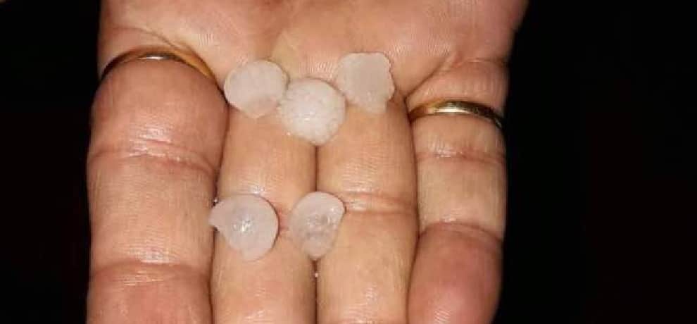 rain alert in four district of uttarakhand