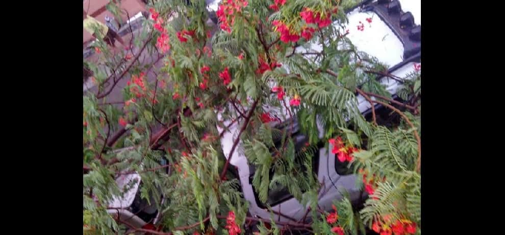 Delhi gets respite as rainfall brings down temperature