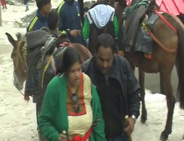 nine Horse mule operators License canceled for Kedarnath foot road