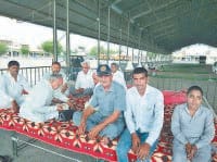 jind, mandi, jaat, harayana