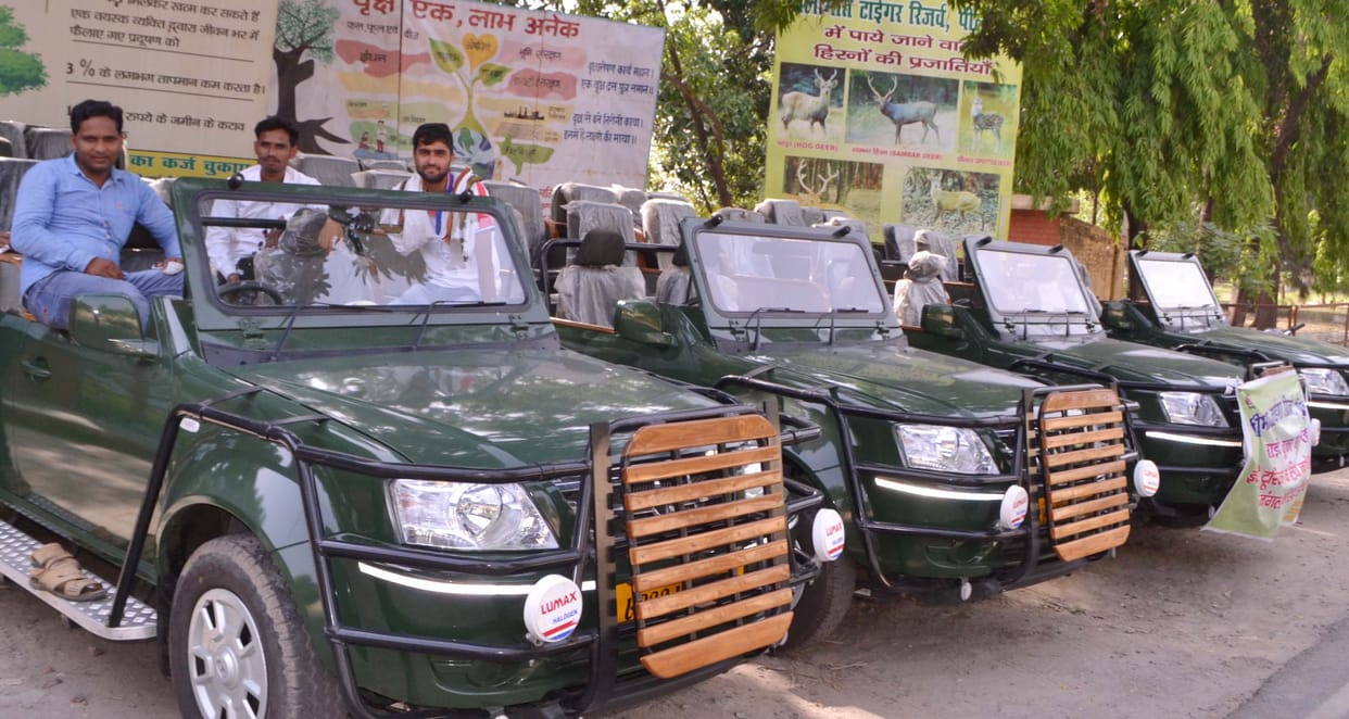 Trains to the Jungle Safari to meet Nehru Park
