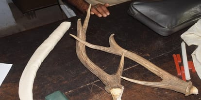 The court sent the three hunters of the jail to jail in judicial custody, recovered horns and knives