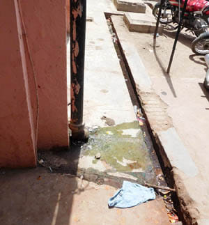 mla water