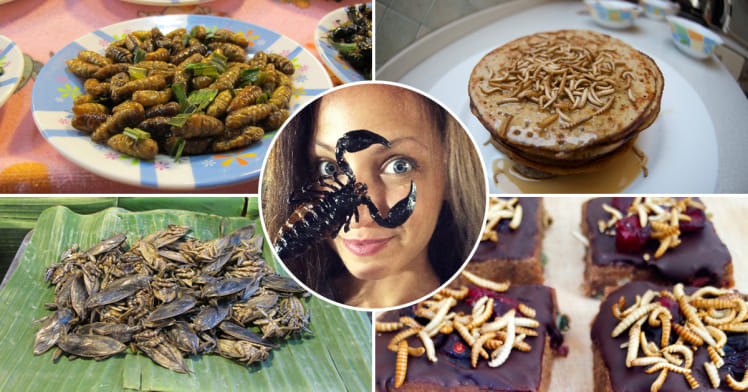 Bulgarian girl which makes only insects meals