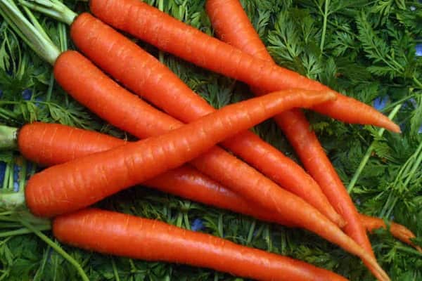 vegetable capsules will be available 