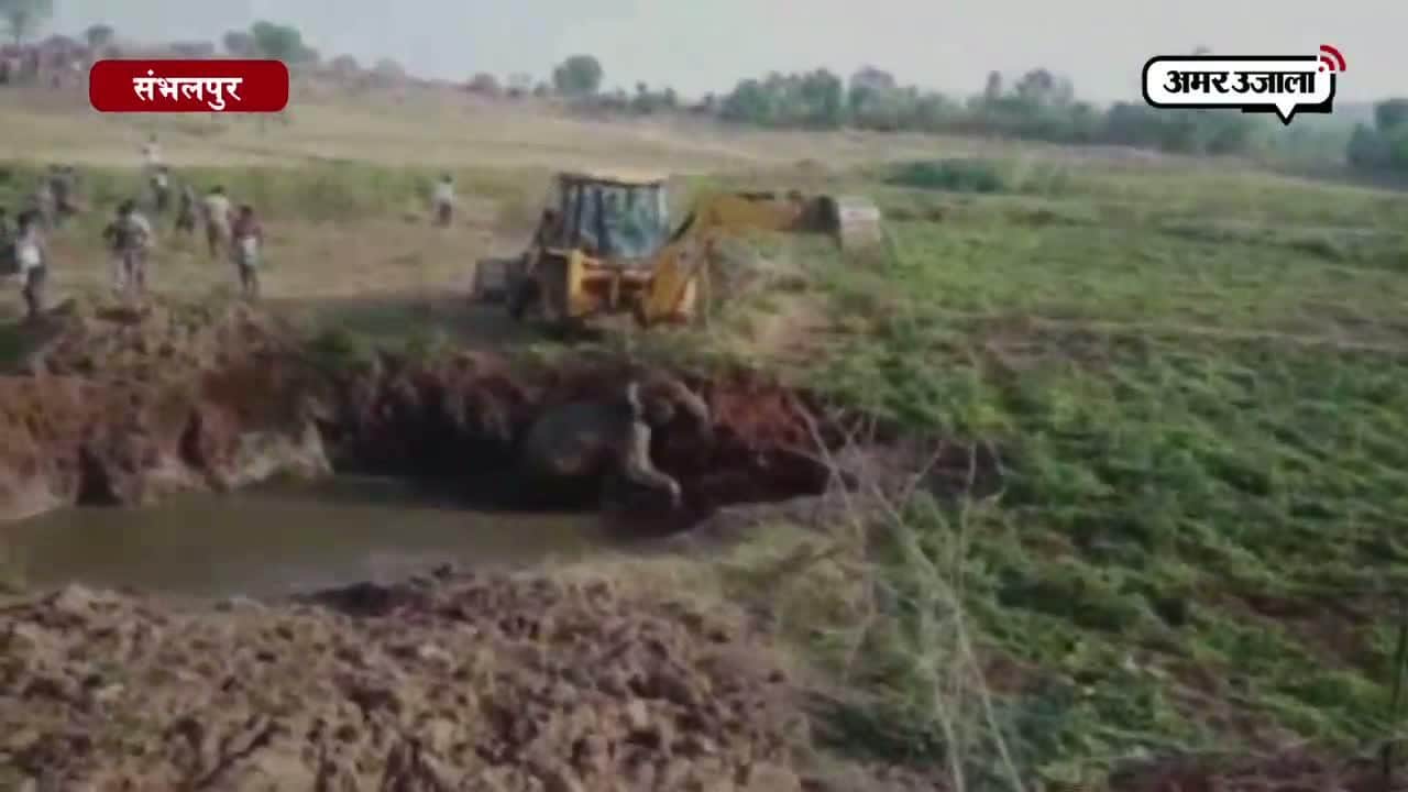 हाथी का रेस्क्यू