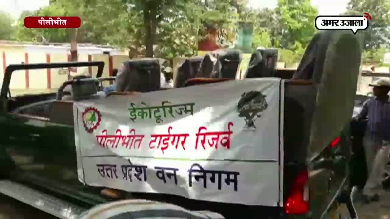 पीलीभीत टाइगर सफारी