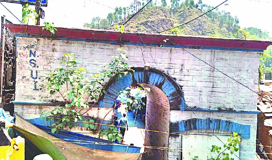 Peepal and other trees fasten the swing bridge