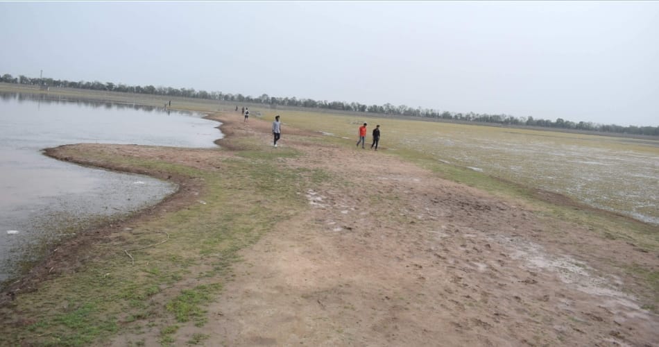 Sukhna Lake dries up, water level shrunk down by 60 percent