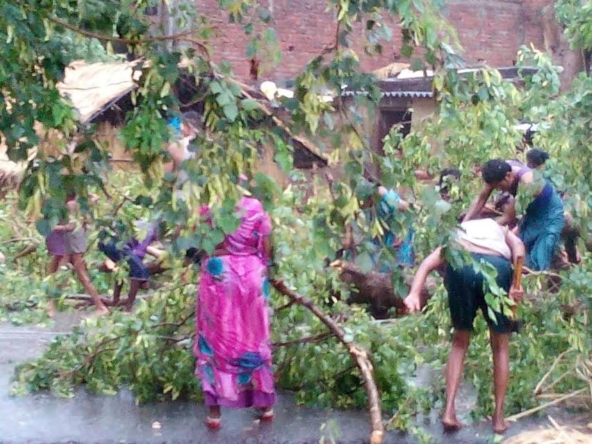 Many trees and pillars fell by the storm
