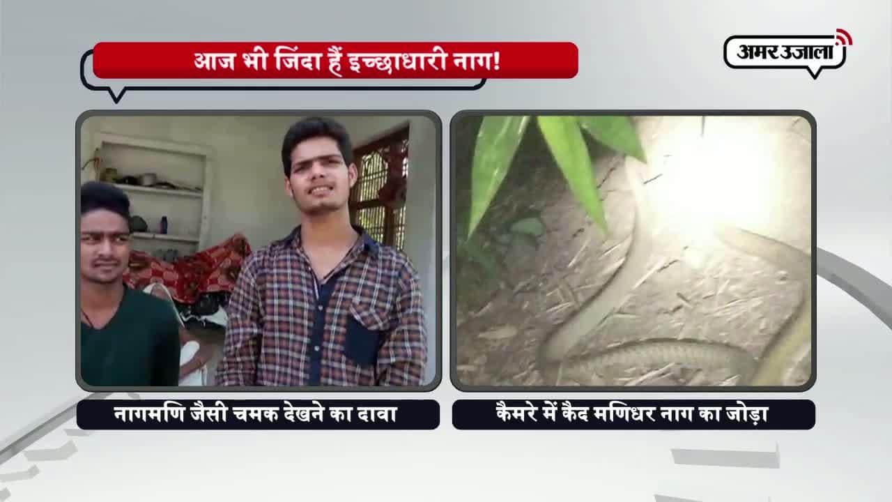 आज भी जिंदा हैं इच्छाधारी नाग!