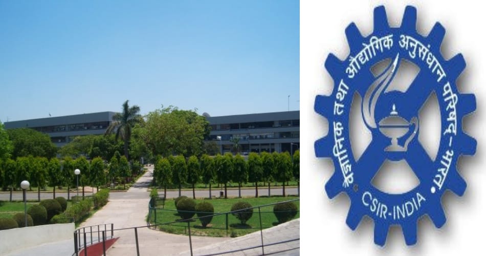 Nigeria's company, Online fraud, Chandigarh csio