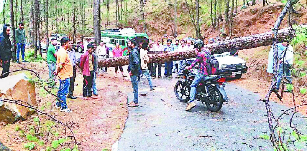 One hour stranded passengers on the Almora-Bariñag road