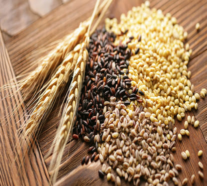 7 grain help you for better job and promotions