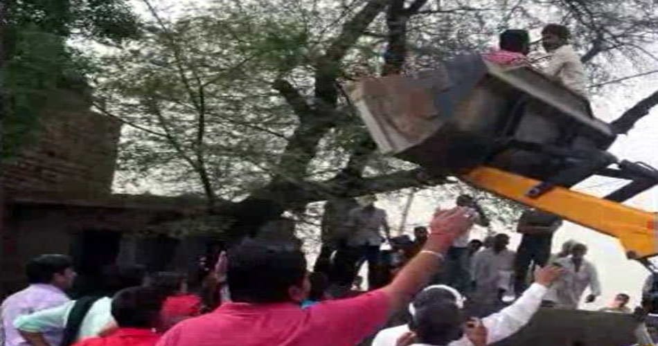   high level drama man climbed on tree