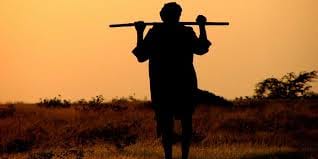 MPs will now make their villages ideal