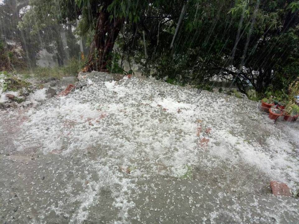 ओलावृष्टि से बागवानी को नुकसान