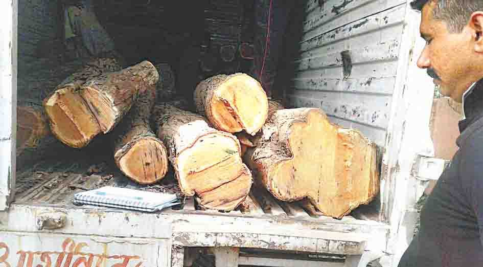 recoverd wood of khar