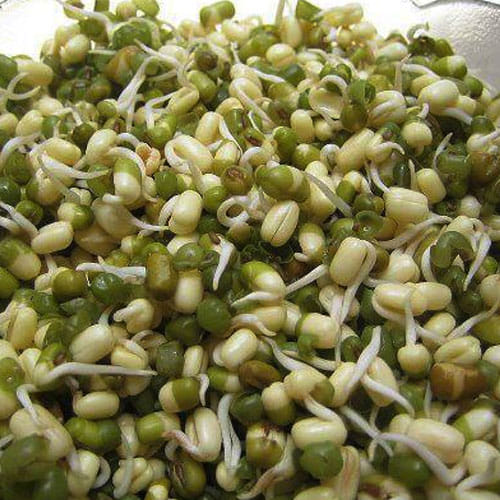 Know about that Food which is more beneficial than cheese for body building