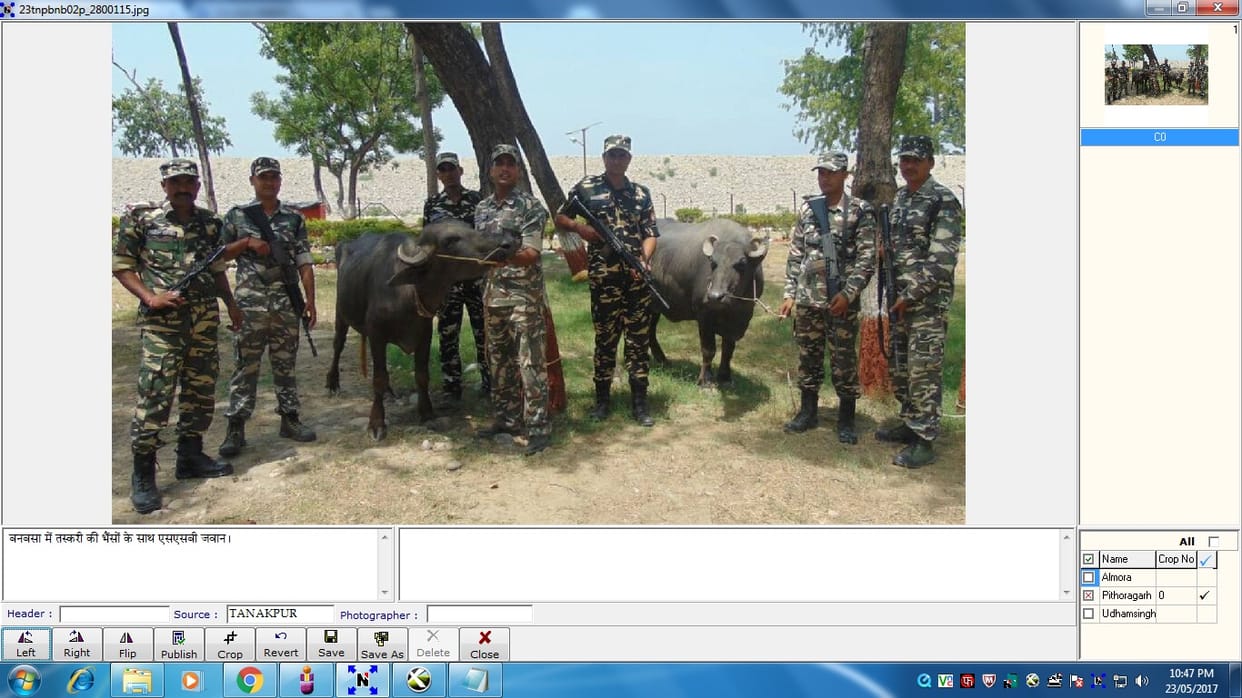 ssb arrested two baffallows along with poachers 