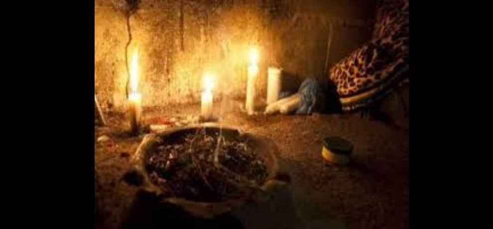 know interesting fact about owls killing on Diwali pujan