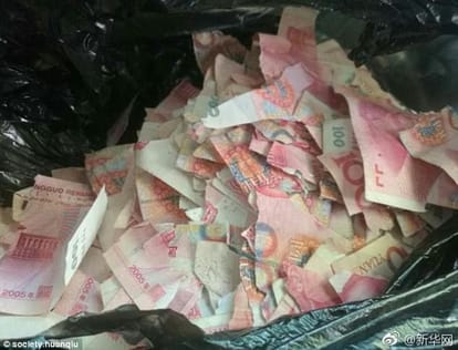 5 year old boy tears up banknotes 50,000 yuan