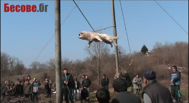  'Dog Spinning' Ritual in Bulgaria